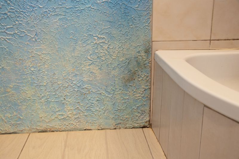 Attic Water Damage Repair in Summerville, SC