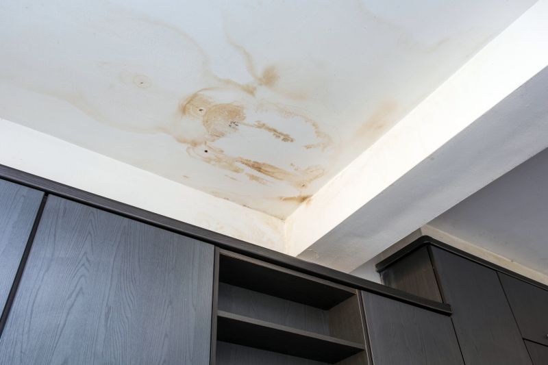 Ceiling Removal Service in Summerville, SC