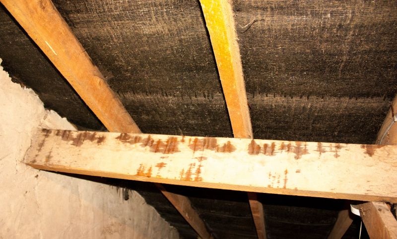 Water Damage Ceiling Repair in Denver County, CO
